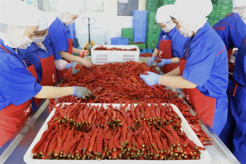 稅 鏈 驅(qū)動(dòng) 四川特色產(chǎn)業(yè)集群的發(fā)展引擎